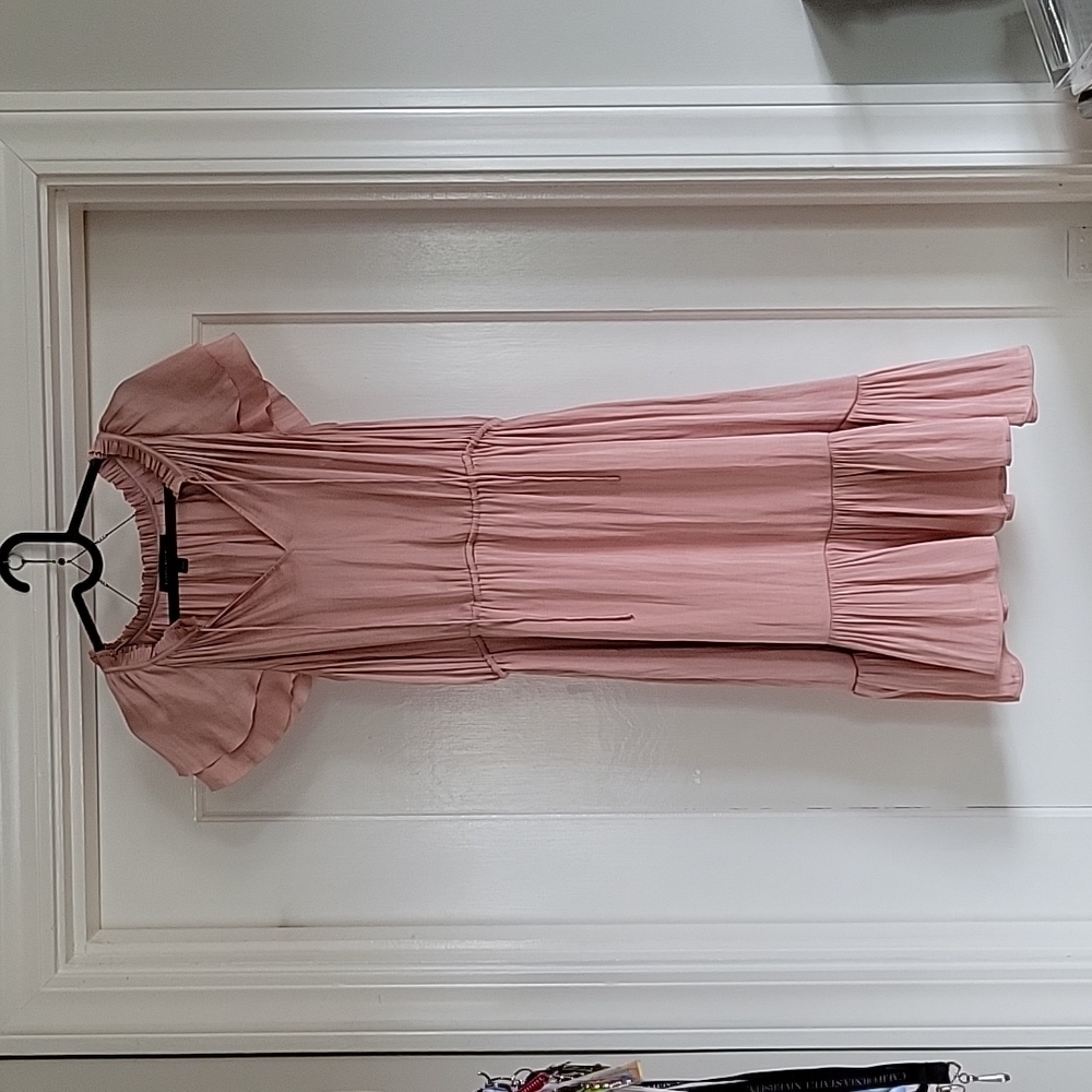 Rose Champagne Banana Republic Dress